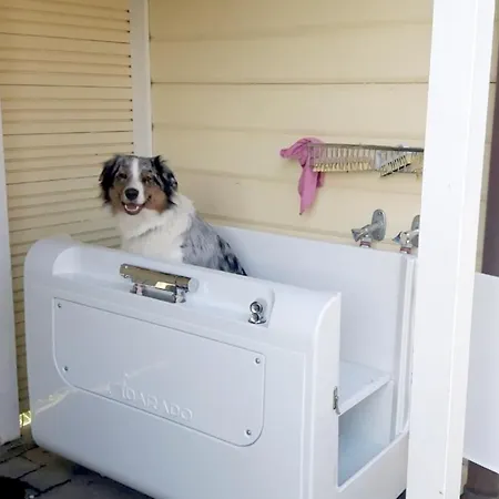 別荘 Susanne-fischer Weg 15, Haus Seehund Wyk auf Föhr